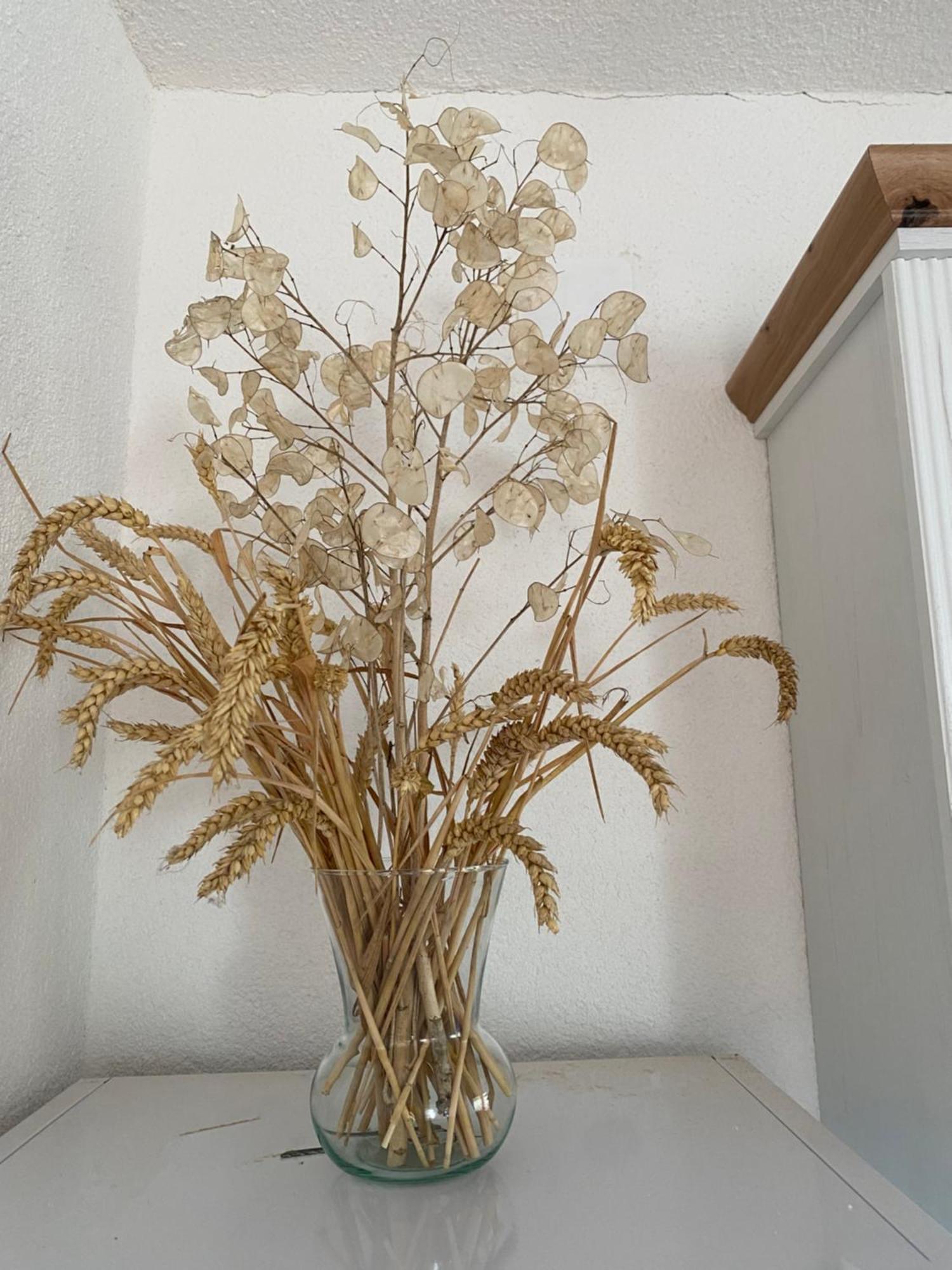 Apartman Kremen Kuterevo Dış mekan fotoğraf