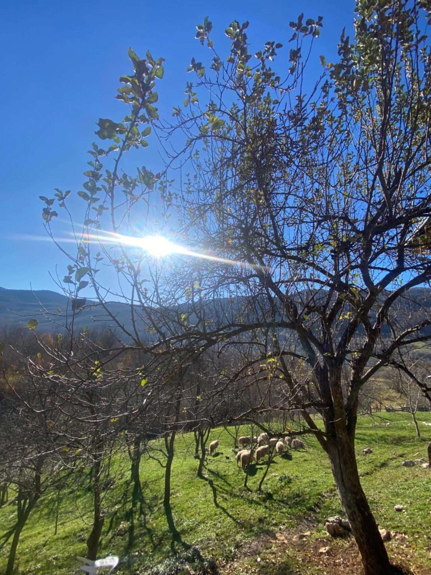 Apartman Kremen Kuterevo Dış mekan fotoğraf